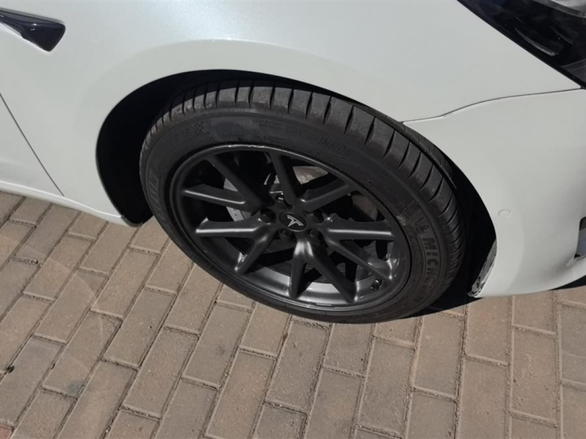 特斯拉 Model 3  2020款 改款 標(biāo)準(zhǔn)續(xù)航后驅(qū)升級(jí)版圖片