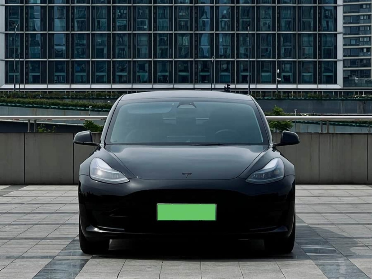 特斯拉 Model 3  2022款 后輪驅(qū)動(dòng)版圖片