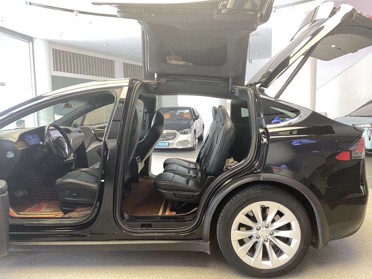 特斯拉 Model X  2019款 長(zhǎng)續(xù)航版圖片
