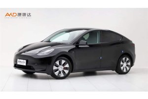 Model Y 特斯拉 改款 后輪驅(qū)動版