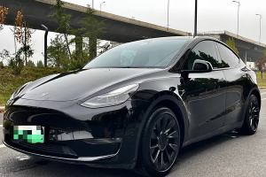 Model Y 特斯拉 后轮驱动版