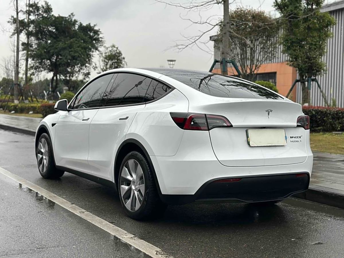 特斯拉 Model 3  2020款 改款 長續(xù)航后輪驅(qū)動版圖片