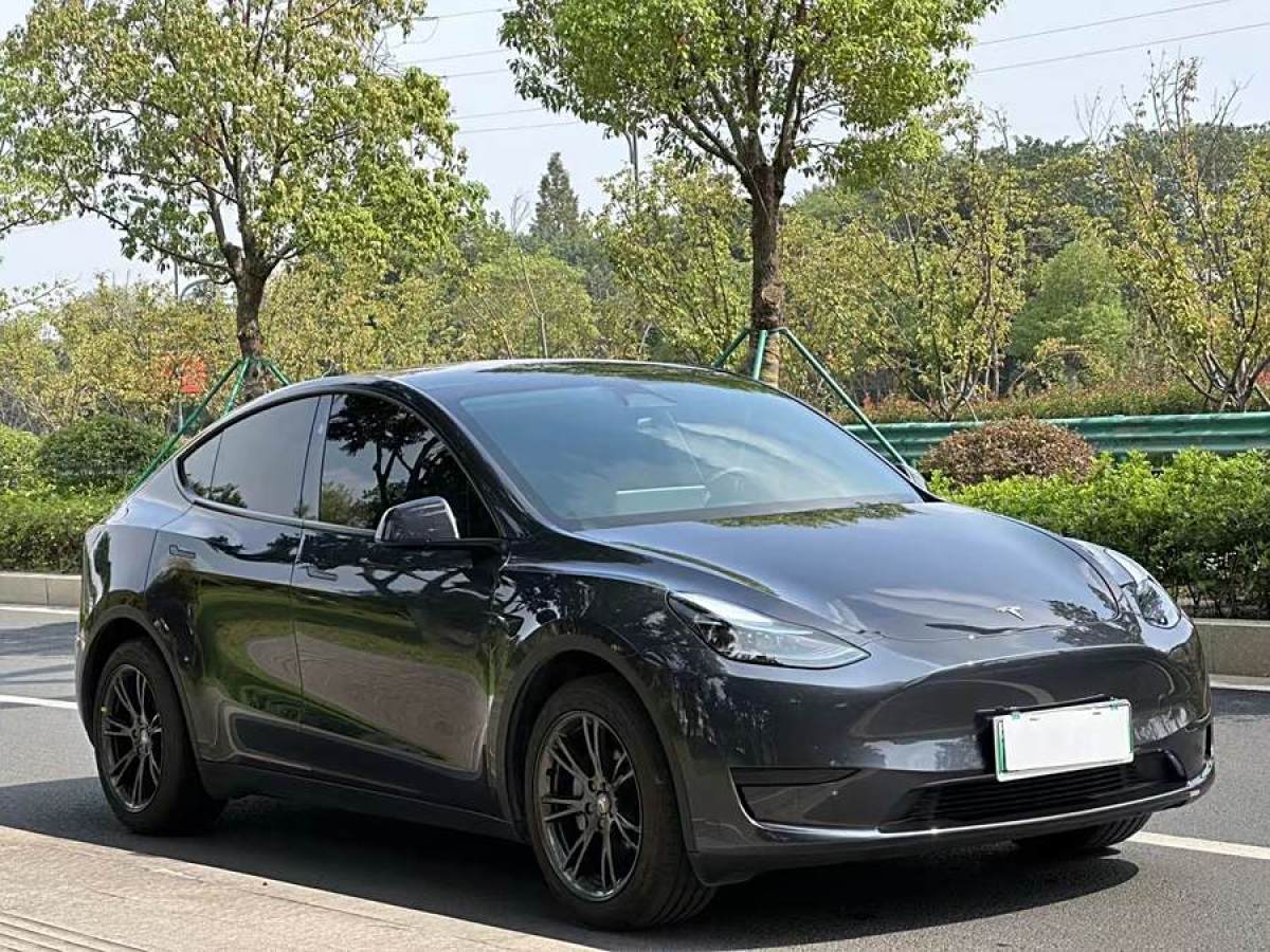 特斯拉 Model Y  2023款 煥新版 后輪驅(qū)動圖片