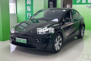 Model Y 特斯拉 改款 后輪驅(qū)動(dòng)版