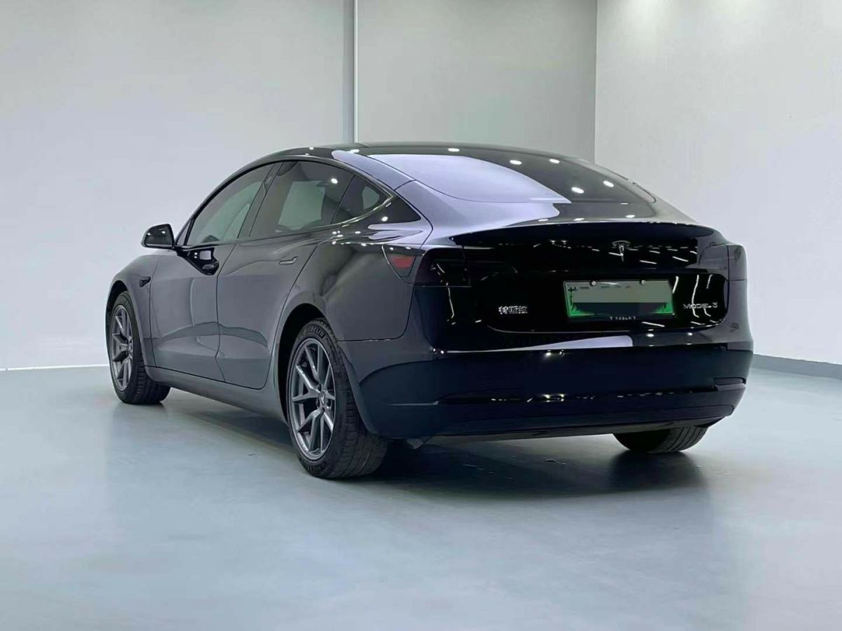 特斯拉 Model S  2023款 三電機(jī)全輪驅(qū)動(dòng) Plaid版圖片