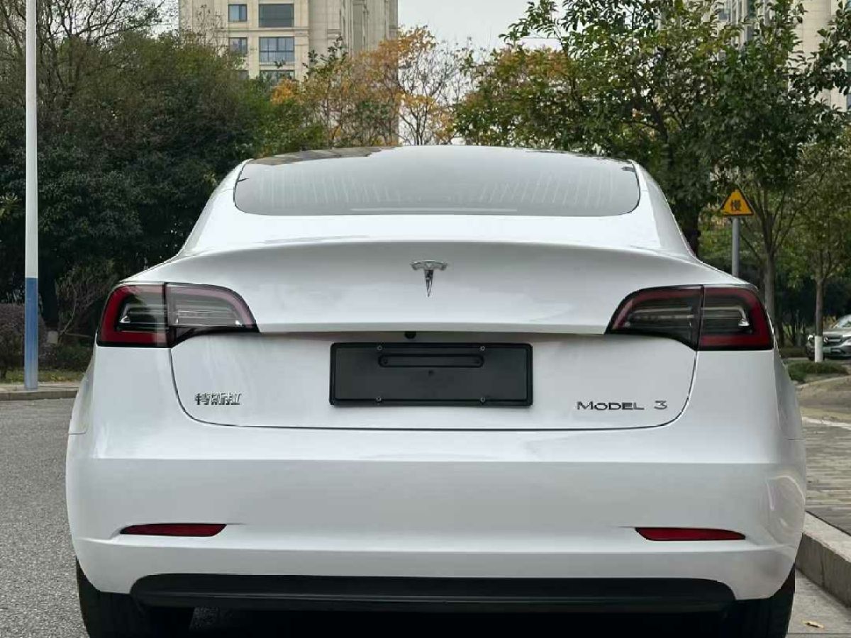 特斯拉 Model X  2020款 Performance 高性能版圖片