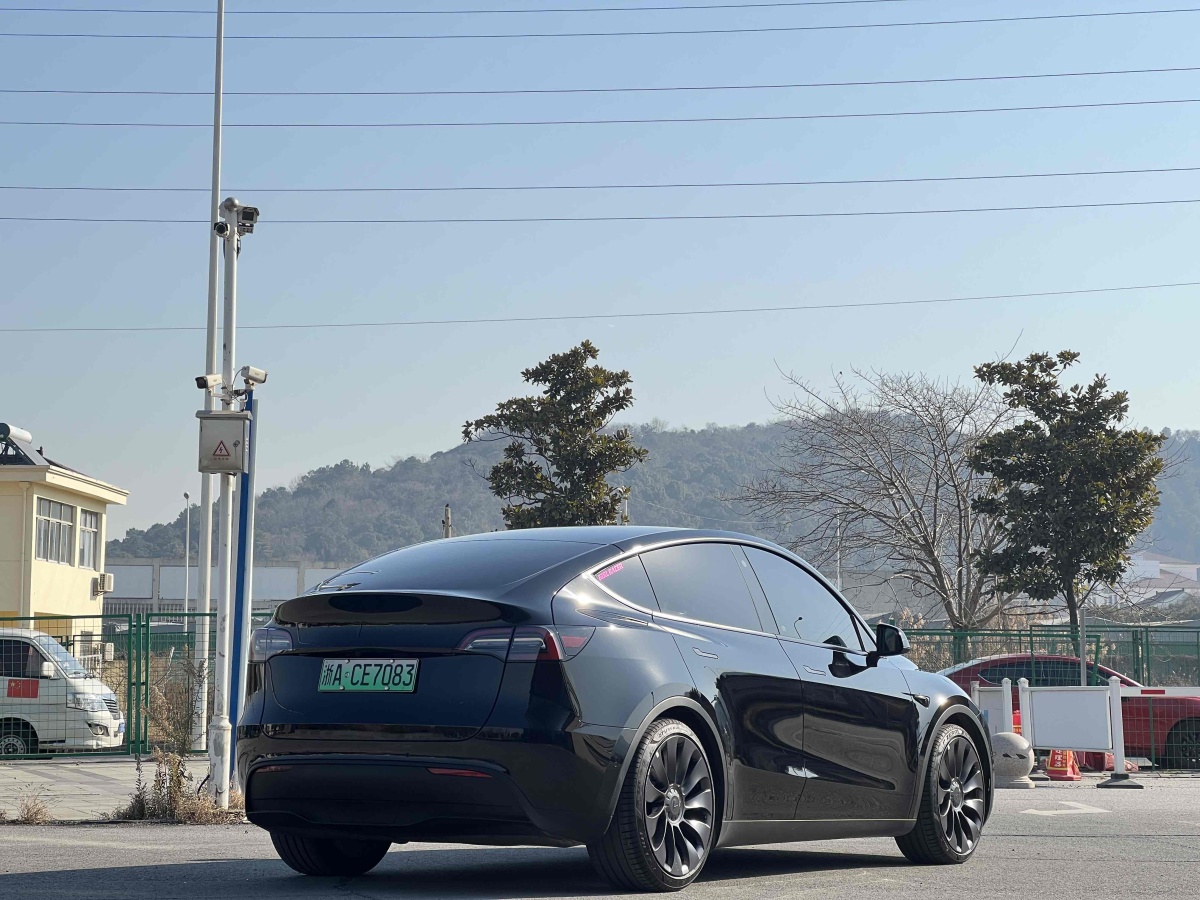 特斯拉 Model 3  2022款 Performance高性能全輪驅(qū)動(dòng)版圖片