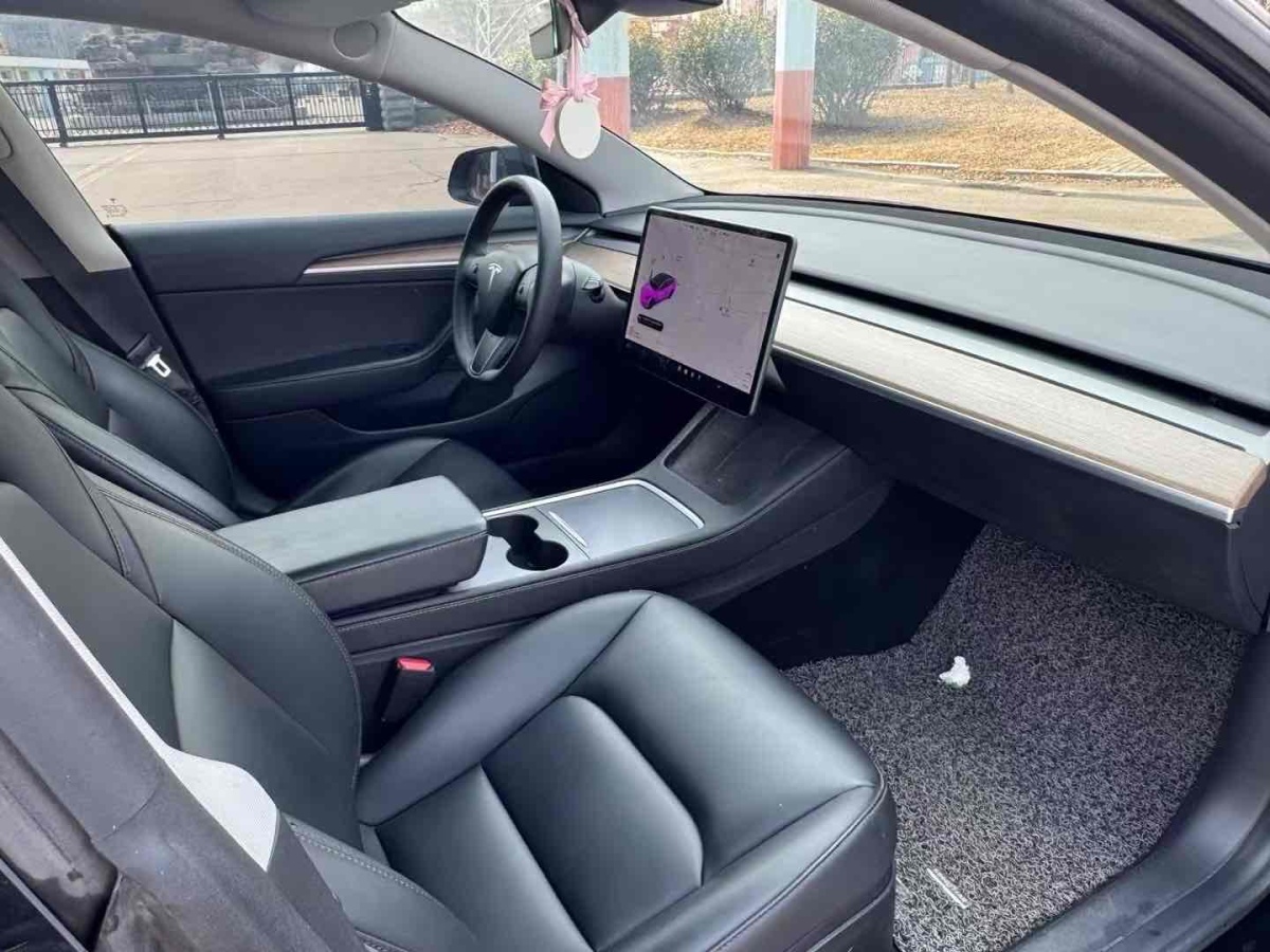 特斯拉 Model 3  2019款 標(biāo)準(zhǔn)續(xù)航后驅(qū)升級(jí)版圖片