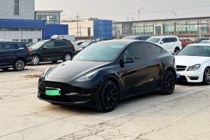 Model Y 特斯拉 改款 Performance高性能全輪驅(qū)動版