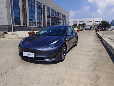 2021年1月 特斯拉 Model 3 標(biāo)準(zhǔn)續(xù)航后驅(qū)升級(jí)版圖片