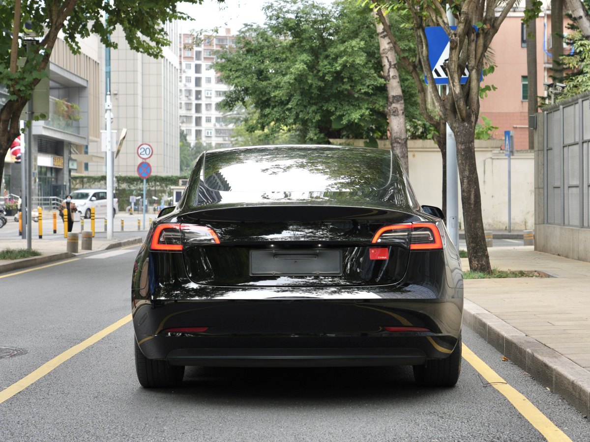 特斯拉 Model 3  2021款 標(biāo)準(zhǔn)續(xù)航后驅(qū)升級(jí)版 3D6圖片