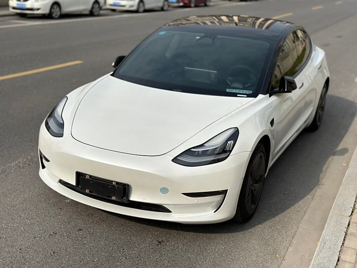 特斯拉 Model 3  2019款 長續(xù)航全輪驅(qū)動版圖片