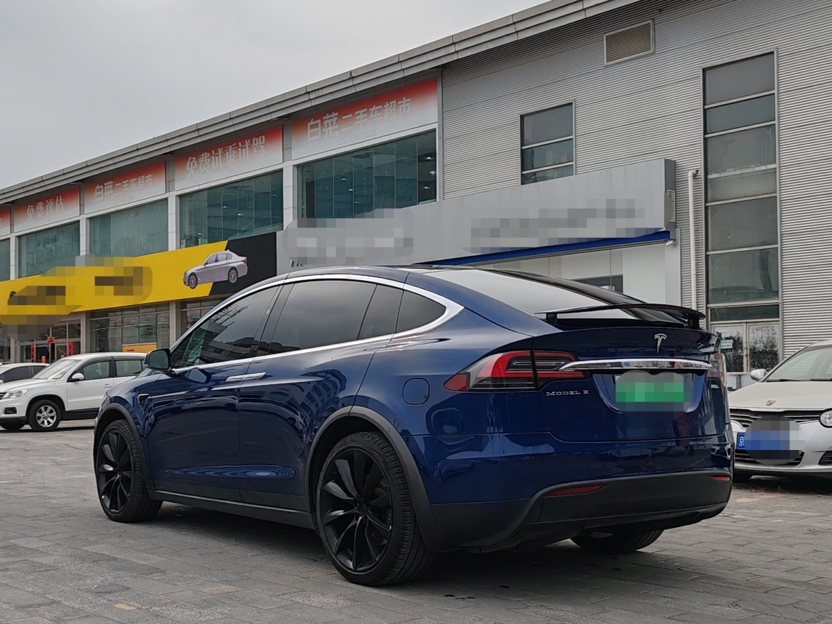 特斯拉 Model X  2017款 Model X 100D 長續(xù)航版圖片