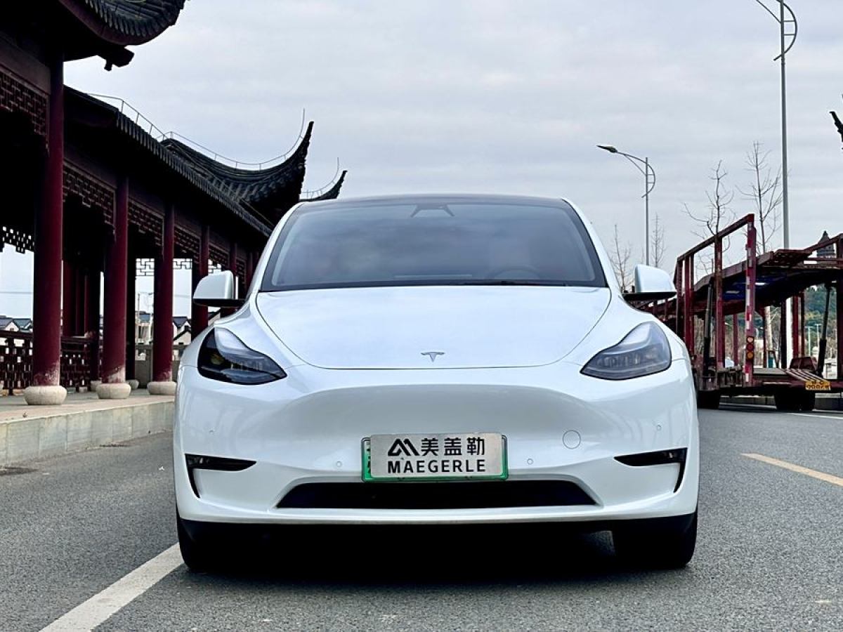 特斯拉 Model Y  2022款 改款 長(zhǎng)續(xù)航全輪驅(qū)動(dòng)版圖片