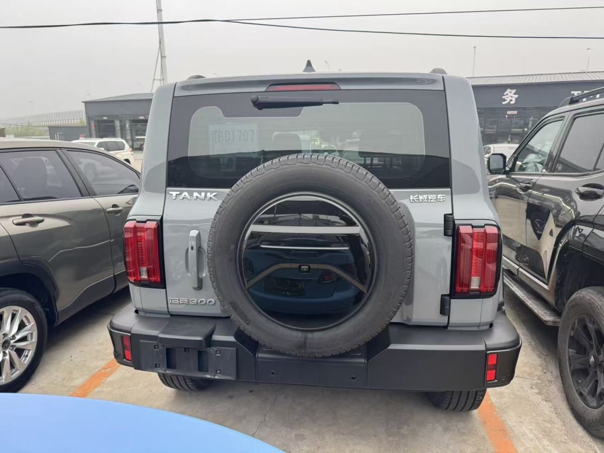 坦克 坦克300  2021款 城市版 2.0T 我看型圖片