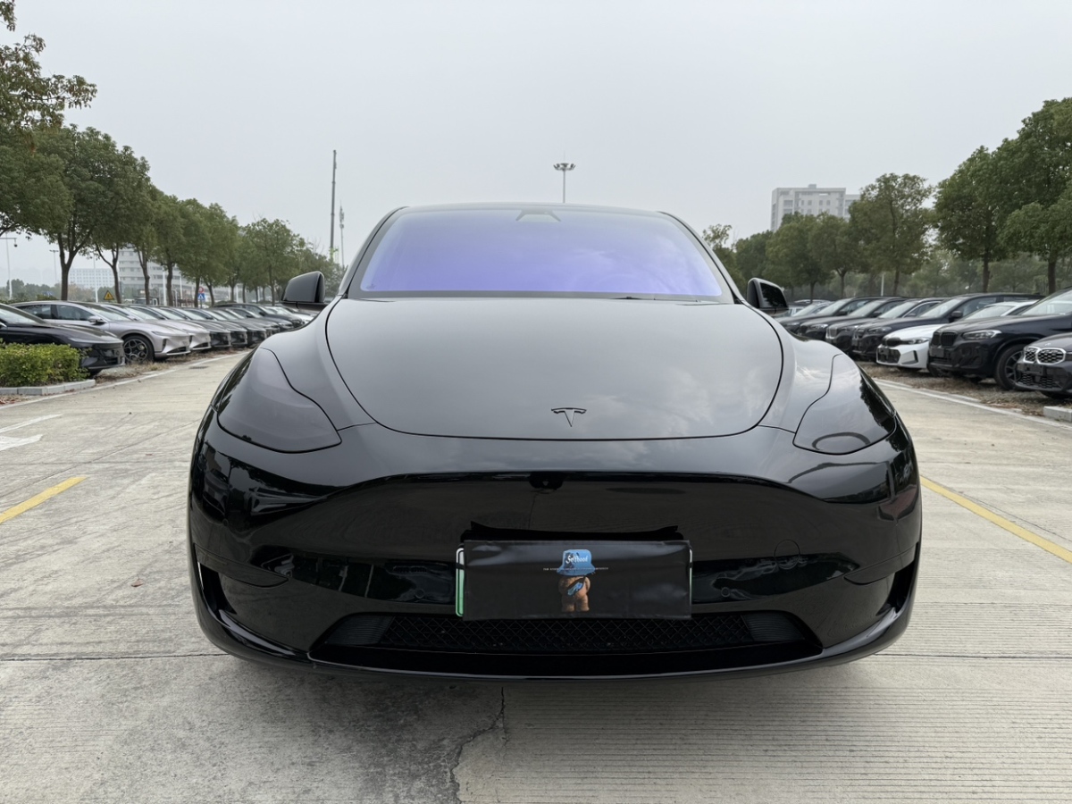 特斯拉 Model Y  2021款 改款 標(biāo)準(zhǔn)續(xù)航后驅(qū)升級(jí)版圖片