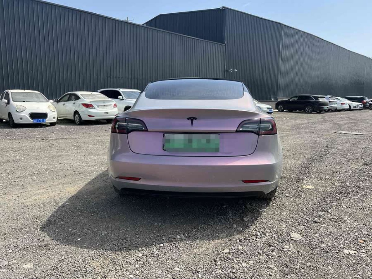 特斯拉 Model 3  2020款 改款 標準續(xù)航后驅(qū)升級版圖片