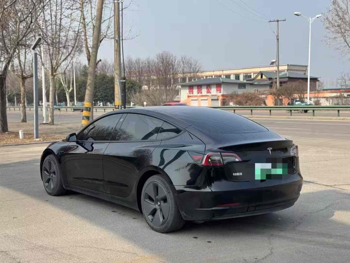 2021年1月特斯拉 Model 3  2019款 標準續(xù)航后驅(qū)升級版