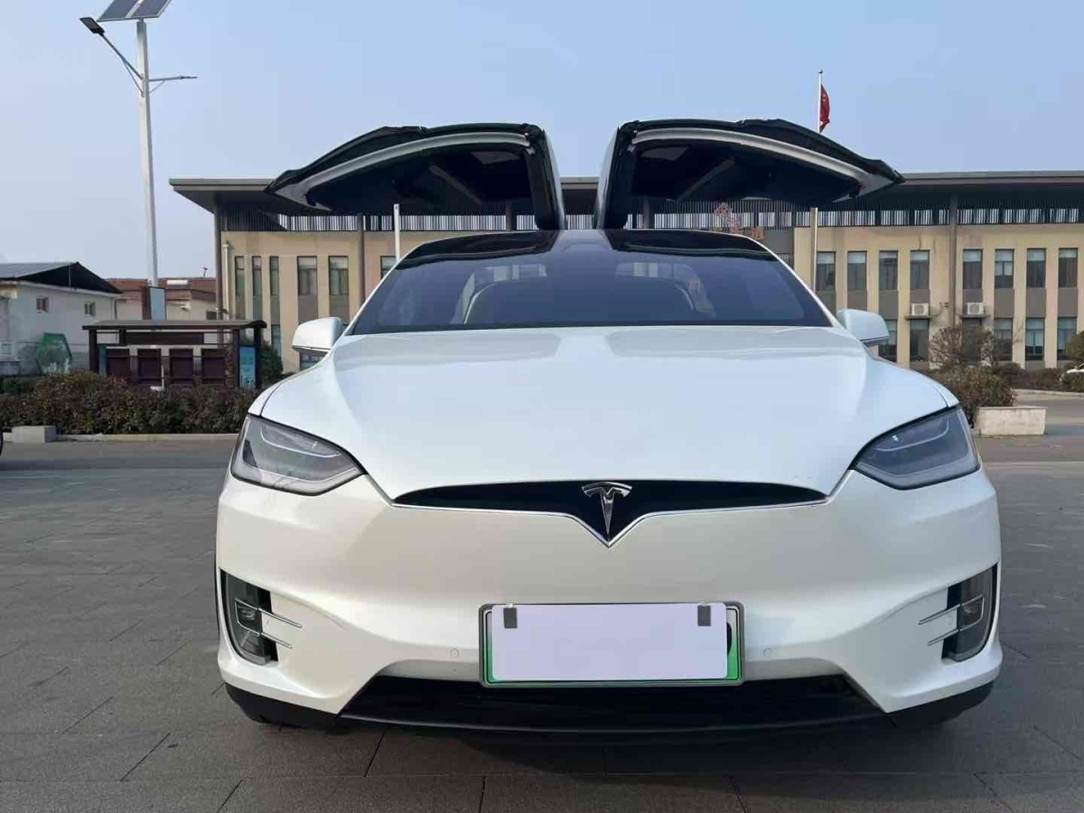 特斯拉 Model X  2019款 Performance 高性能版圖片