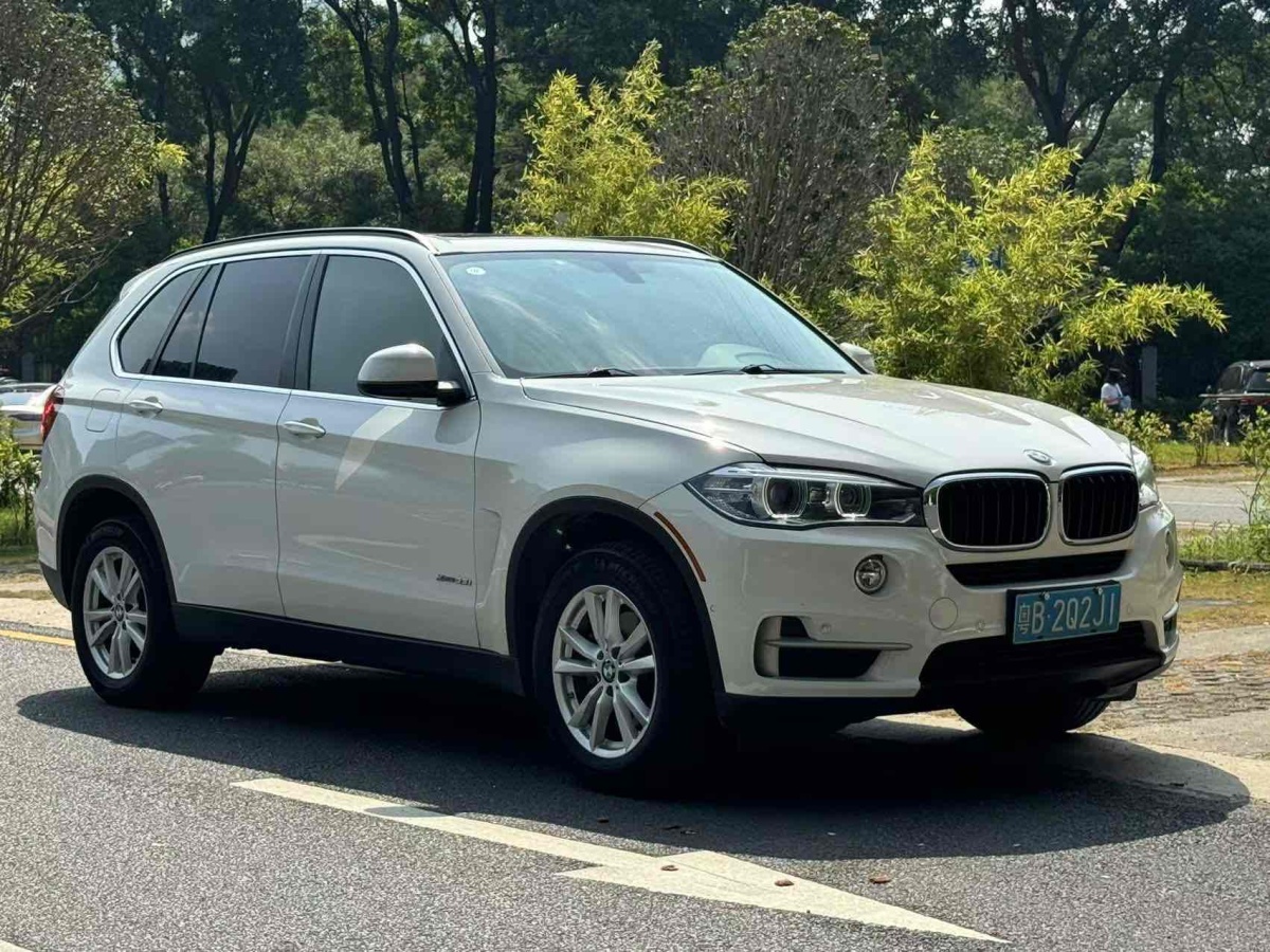 寶馬 寶馬X5  2014款 xDrive35i 領(lǐng)先型圖片