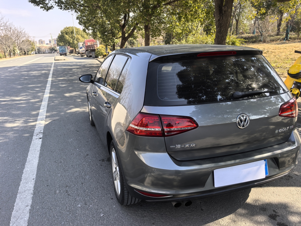 大眾 高爾夫  2014款 1.4TSI 自動舒適型圖片