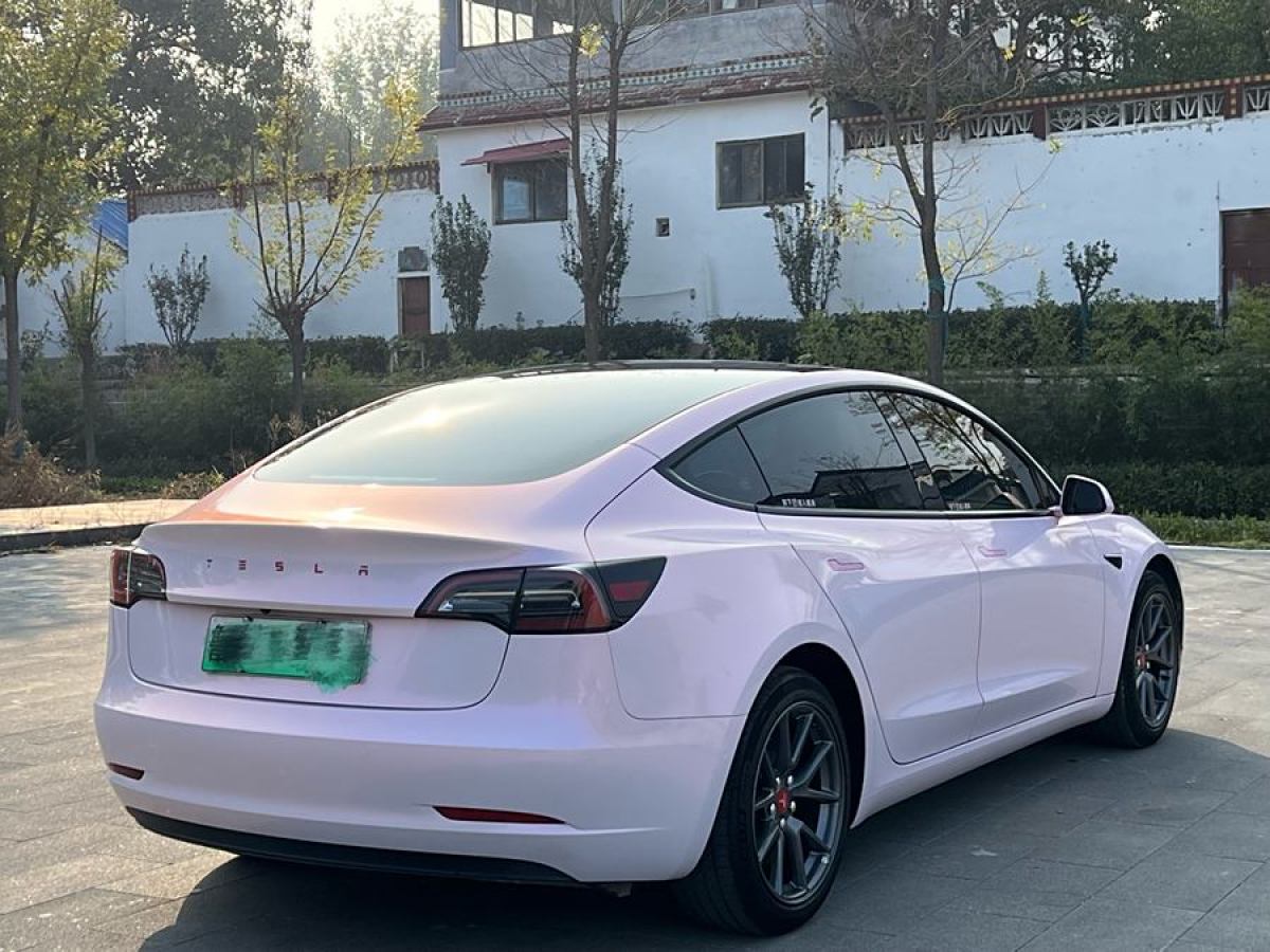 特斯拉 Model 3  2023款 后輪驅動版圖片