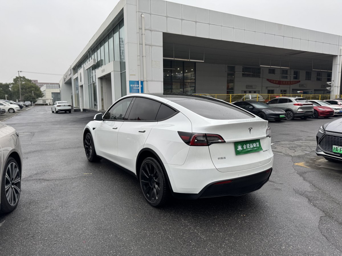 特斯拉 Model Y  2021款 長(zhǎng)續(xù)航全輪驅(qū)動(dòng)版 3D7圖片