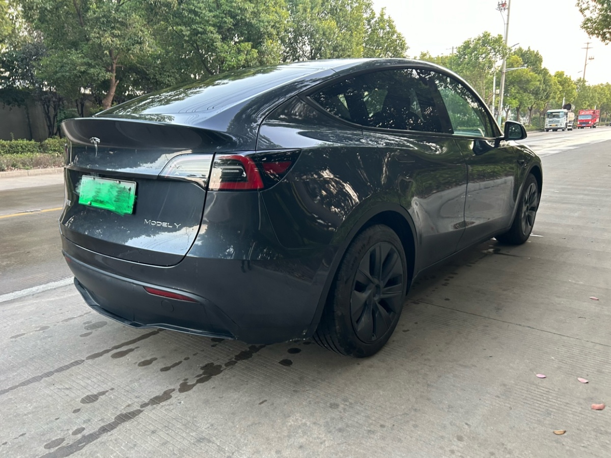 特斯拉 Model Y  2022款 后輪驅(qū)動版圖片