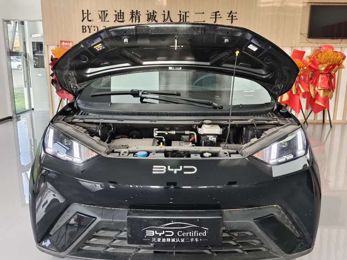 比亞迪 海鷗  2024款 榮耀版 405km 飛翔版圖片