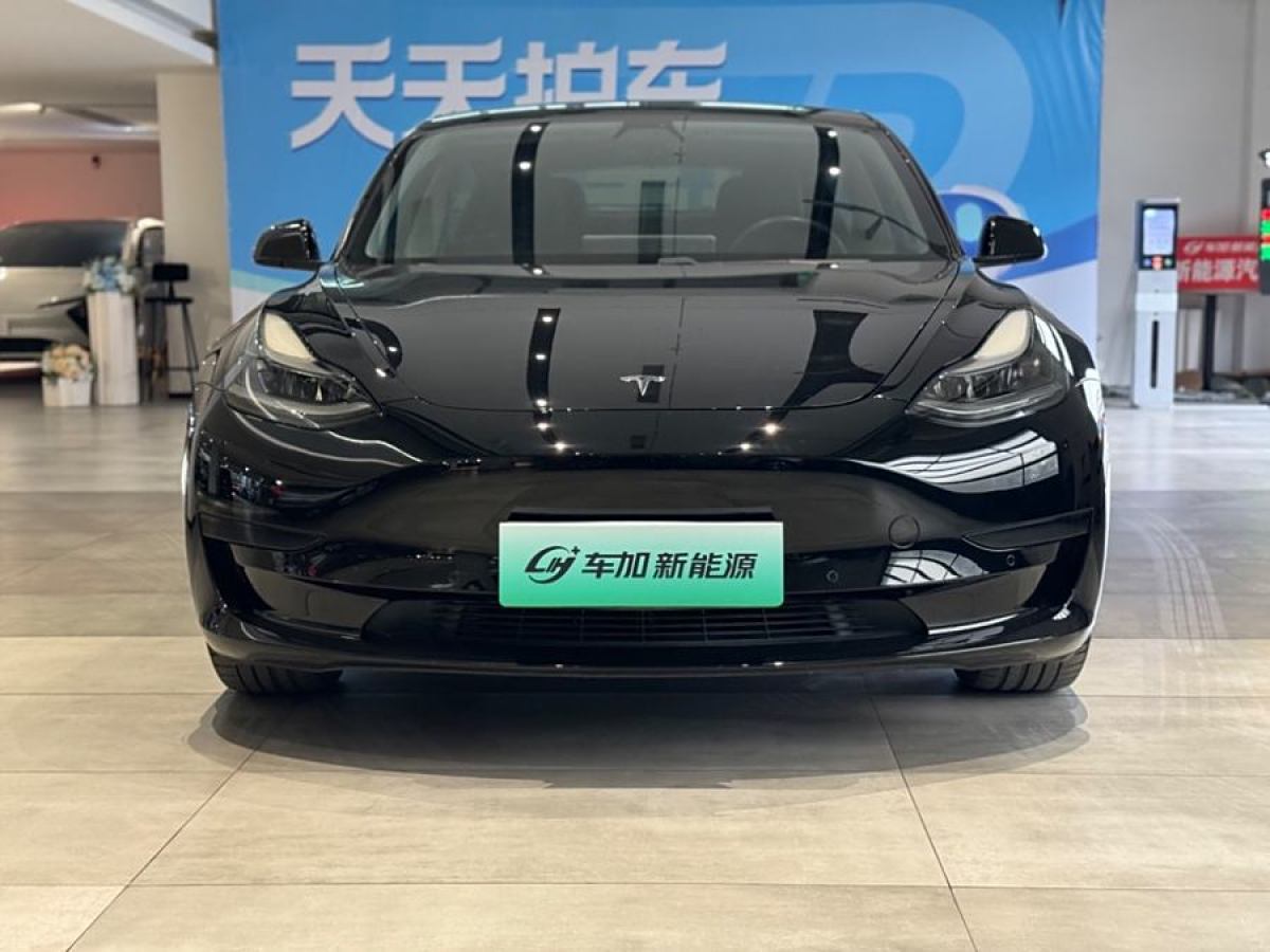 特斯拉 Model 3  2021款 改款 標(biāo)準(zhǔn)續(xù)航后驅(qū)升級(jí)版圖片