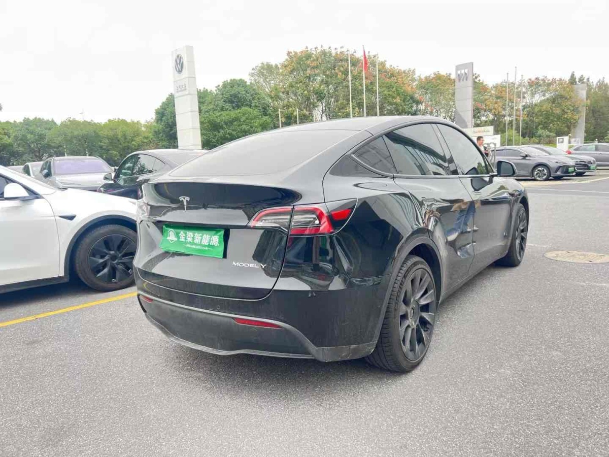 特斯拉 Model Y  2020款 改款 長續(xù)航后輪驅(qū)動版圖片