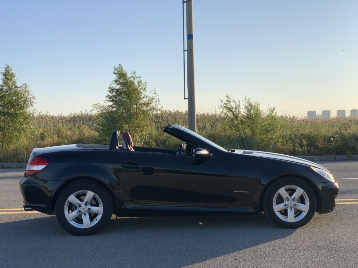 奔馳 奔馳SLK級  2008款 SLK 200K PASSION圖片