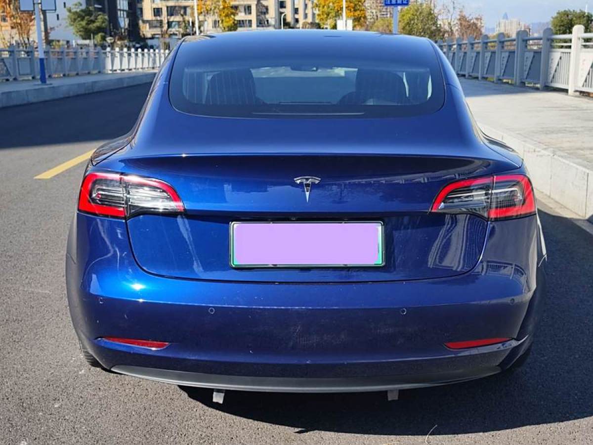 特斯拉 Model 3  2020款 改款 標(biāo)準(zhǔn)續(xù)航后驅(qū)升級(jí)版圖片