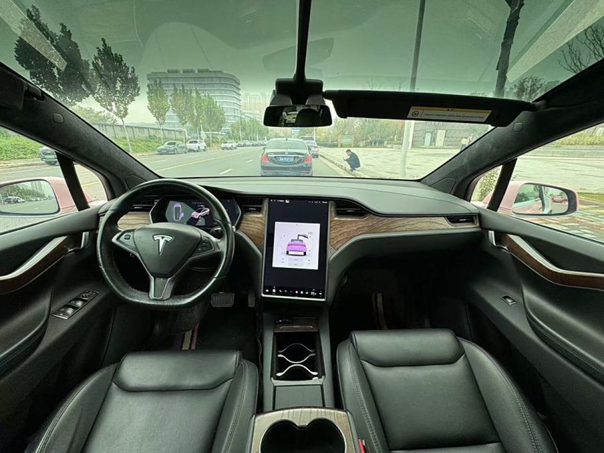 特斯拉 Model X  2019款 標準續(xù)航版圖片