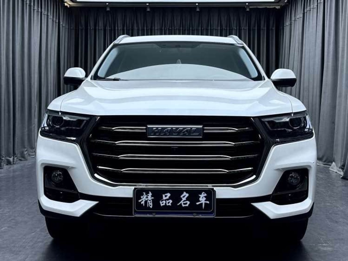 哈弗 H6  2021款 國潮版 1.5T 自動(dòng)都市版圖片