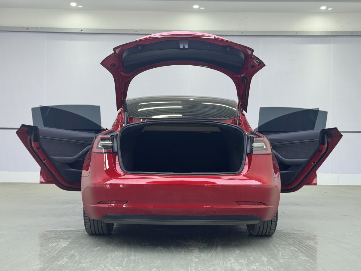 特斯拉 Model 3  2019款 標(biāo)準(zhǔn)續(xù)航后驅(qū)升級版圖片