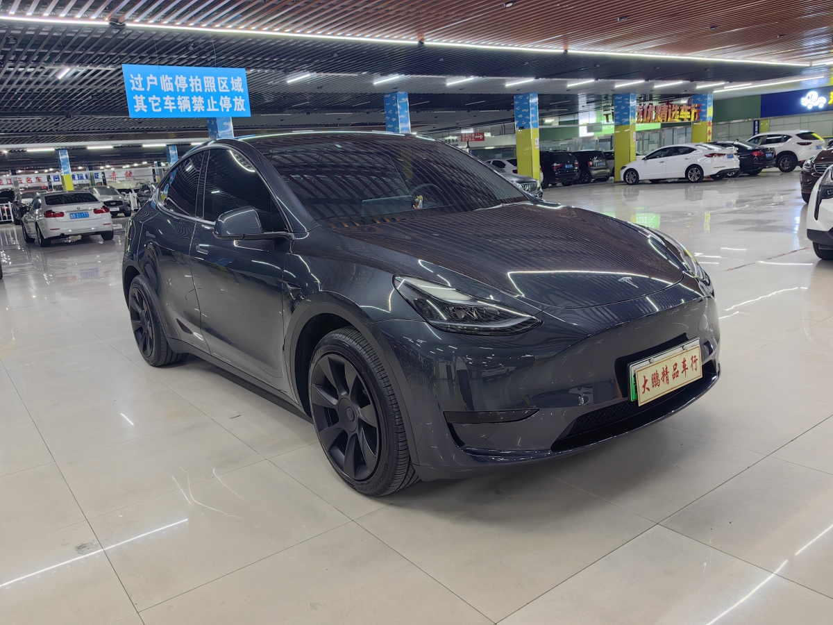 2024年6月特斯拉 Model Y  2020款 改款 長續(xù)航后輪驅(qū)動版