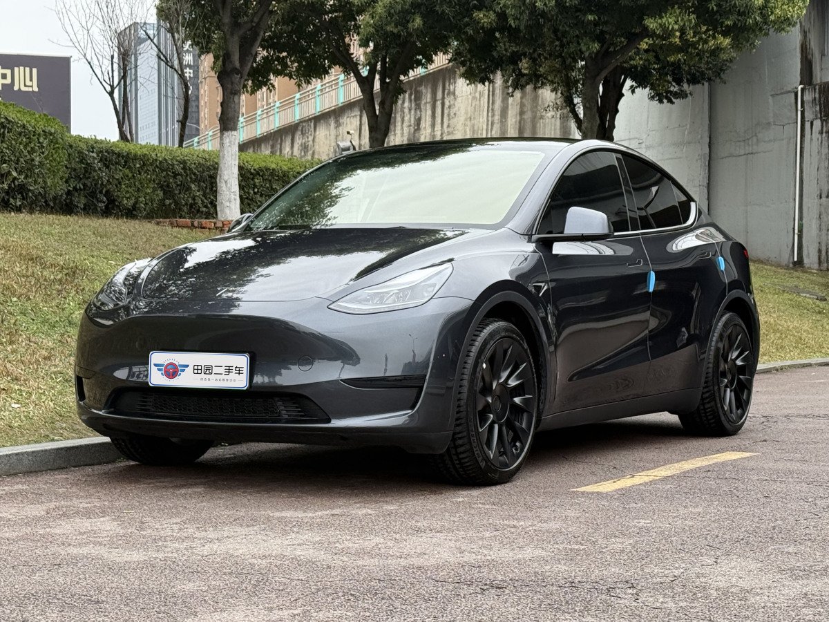 2024年4月特斯拉 Model 3  2020款 改款 長續(xù)航后輪驅(qū)動版