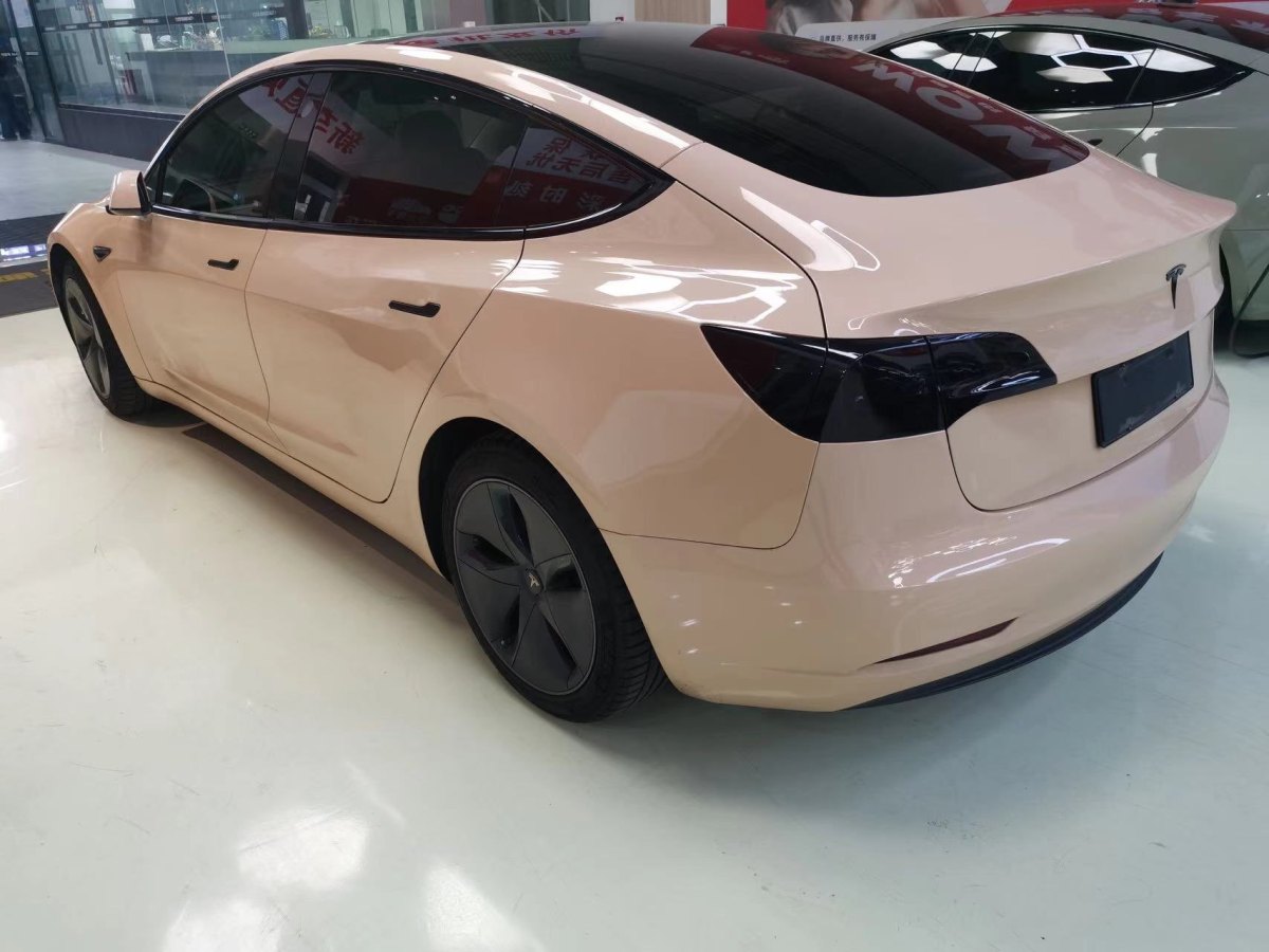 2020年6月特斯拉 Model 3  2019款 標(biāo)準(zhǔn)續(xù)航后驅(qū)升級版