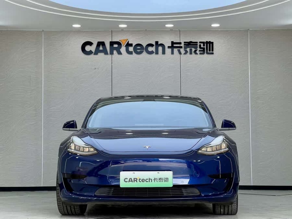 特斯拉 Model 3  2019款 標(biāo)準(zhǔn)續(xù)航后驅(qū)升級版圖片