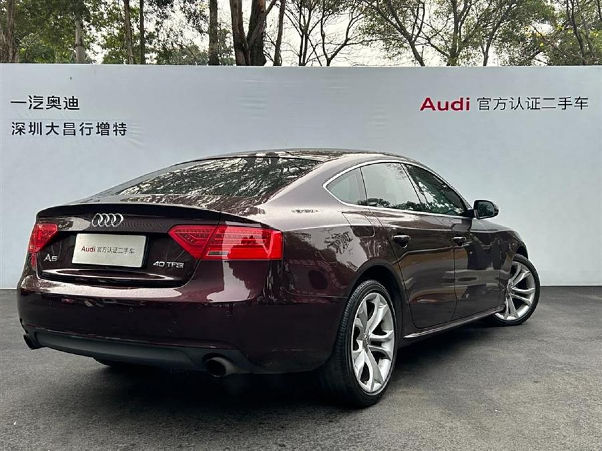 奧迪 奧迪A5  2013款 Sportback 40 TFSI風(fēng)尚版圖片