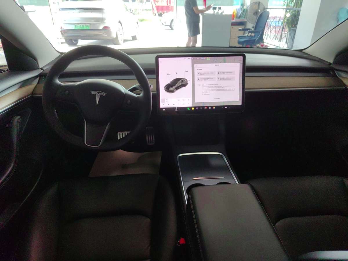 特斯拉 Model 3  2019款 Performance高性能全轮驱动版图片