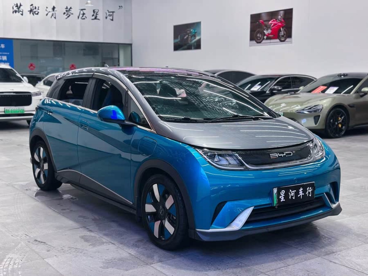 比亞迪 海豚  2021款 401km 騎士版圖片