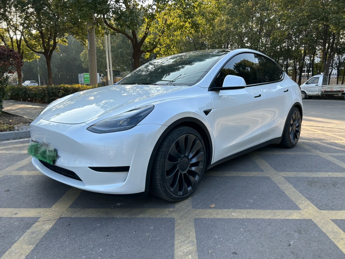 特斯拉 Model Y  2023款 高性能全輪驅(qū)動(dòng)版圖片