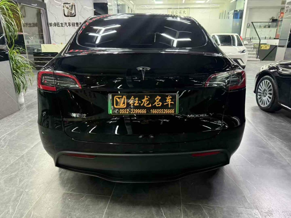 特斯拉 Model Y  2024款 Performance高性能版圖片