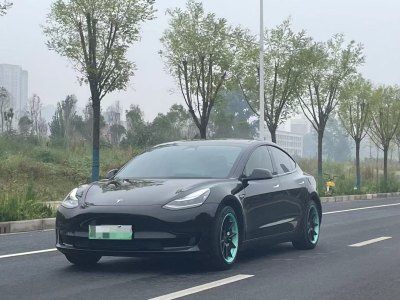 2020年9月 特斯拉 Model 3 标准续航后驱升级版图片