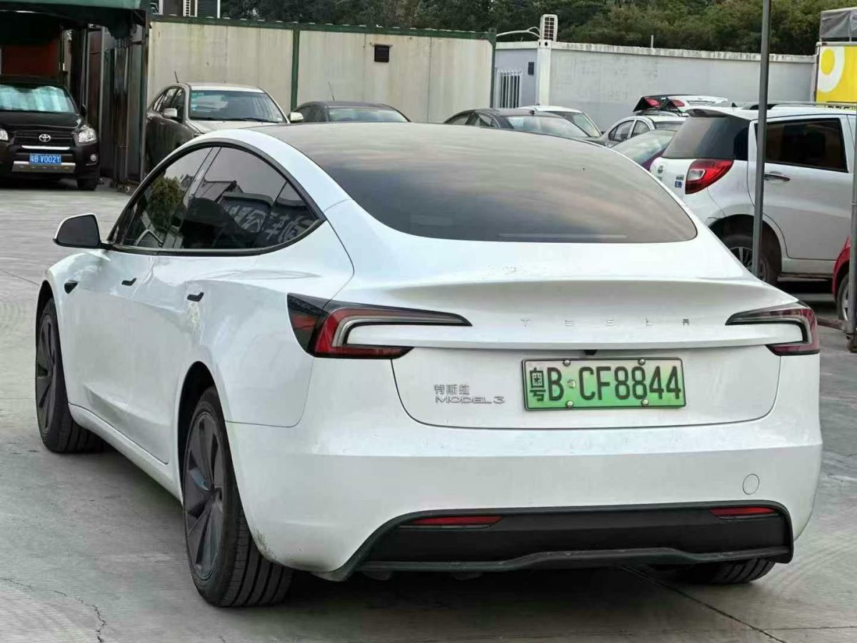 特斯拉 Model Y  2024款 Performance高性能版圖片