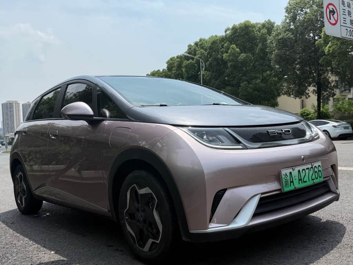 比亞迪 海豚  2021款 405km 時尚版圖片
