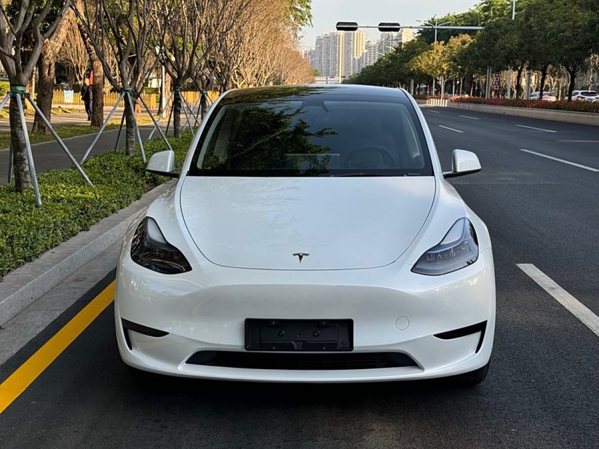 特斯拉 Model 3  2020款 改款 長續(xù)航后輪驅(qū)動版圖片