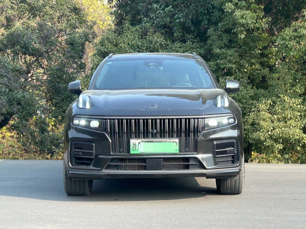 領(lǐng)克 領(lǐng)克09新能源  2021款 2.0T PHEV Pro 六座圖片